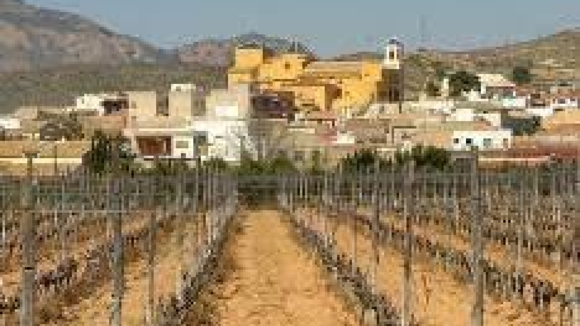 Nowa konstrukcja - Bungalow - Hondon de las Nieves - El Salero