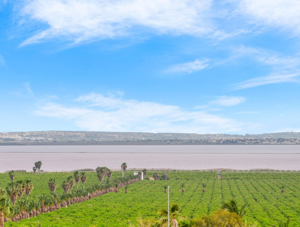 Nowa konstrukcja - Bungalow - Torrevieja - Lago Jardín II