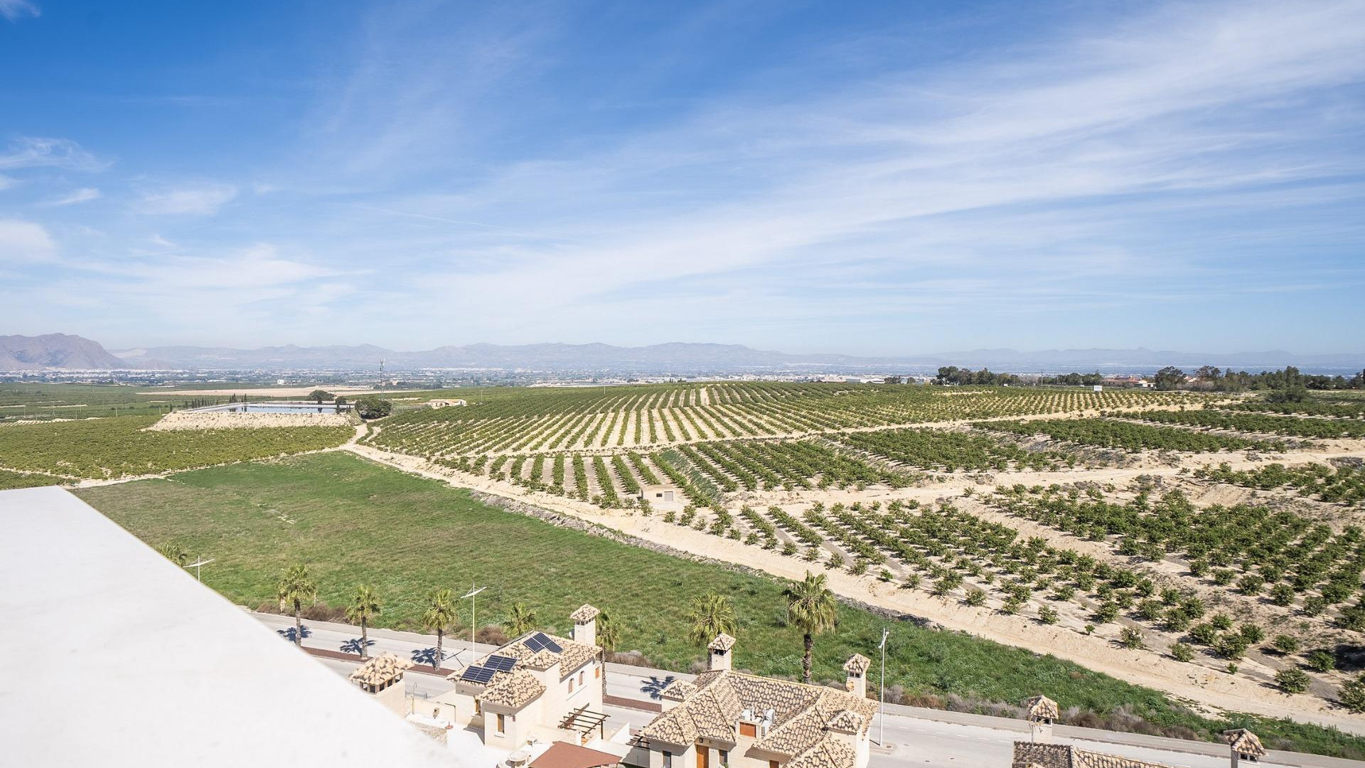 Nowa konstrukcja - Detached Villa - Algorfa - La finca Golf