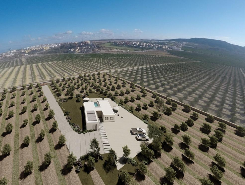 Nowa konstrukcja - Detached Villa - Algorfa - Lomas De La Juliana