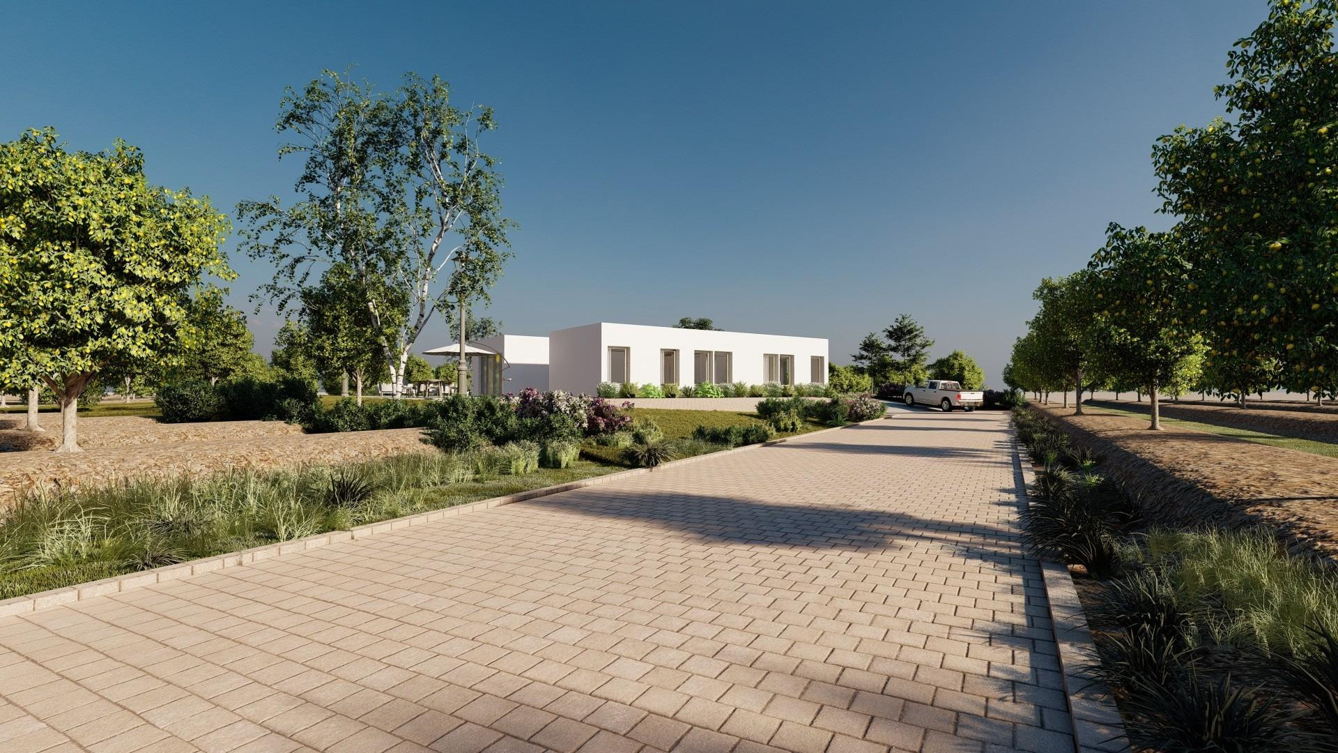 Nowa konstrukcja - Detached Villa - Benejúzar - alta
