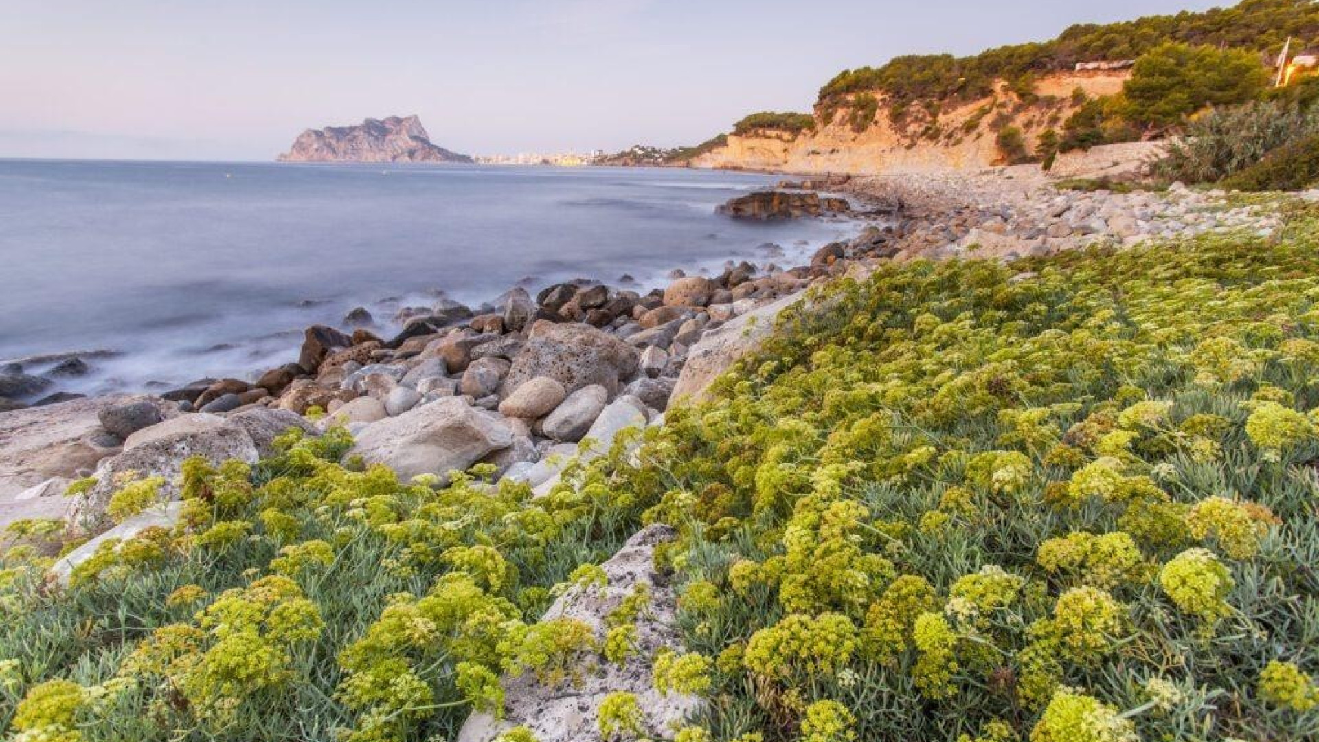 Nowa konstrukcja - Detached Villa - Benissa - Cala Advocat