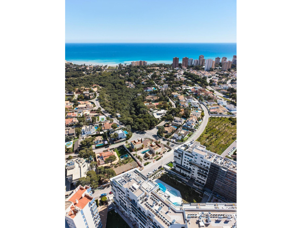Nowa konstrukcja - Detached Villa - Orihuela Costa - Dehesa de Campoamor
