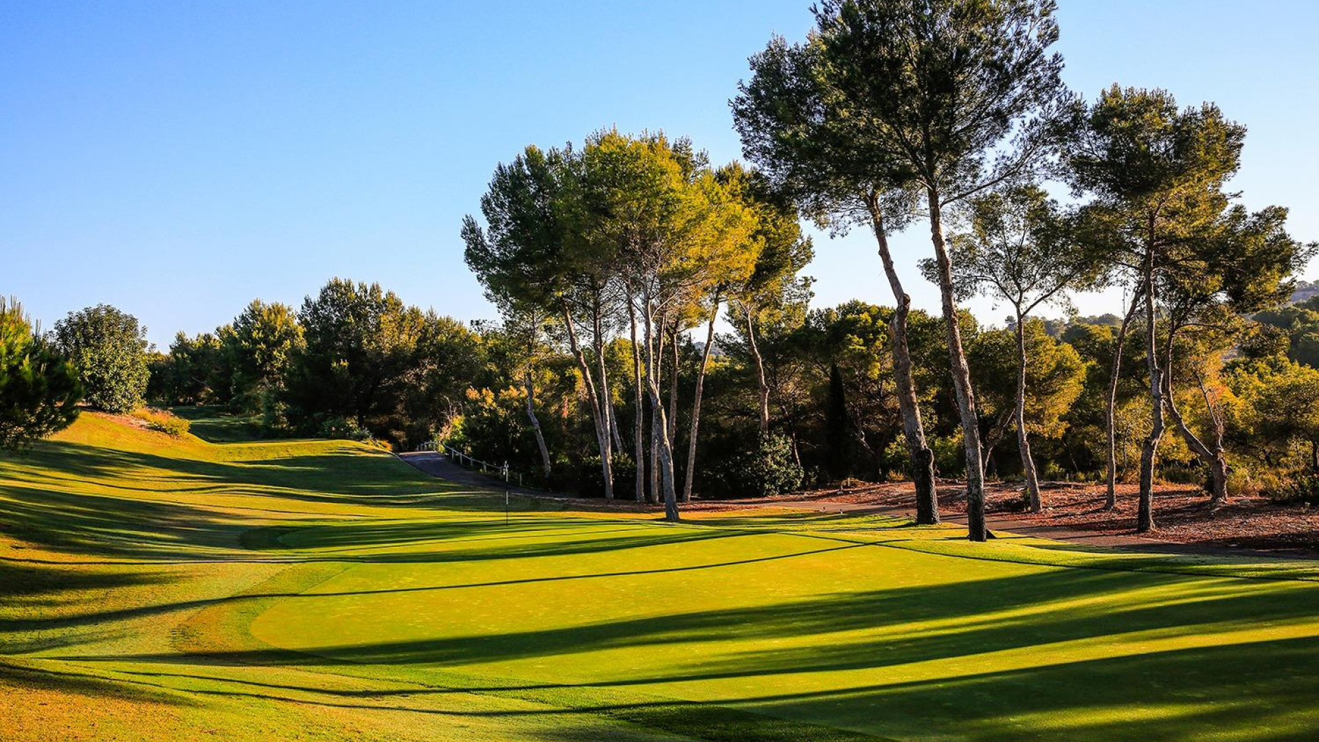 Nowa konstrukcja - Detached Villa - Orihuela - Las Colinas Golf