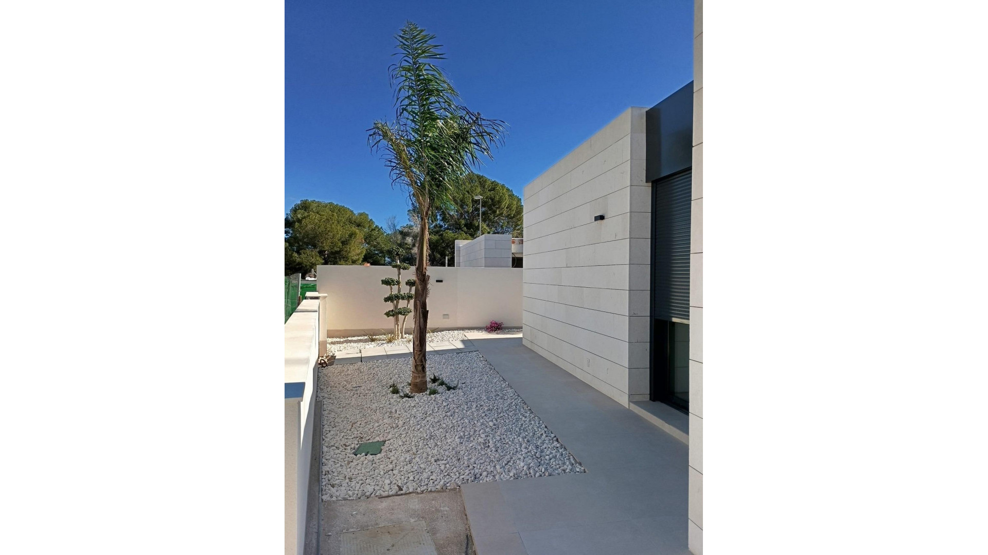 Nowa konstrukcja - Detached Villa - Pilar de La Horadada - Lo Romero Golf