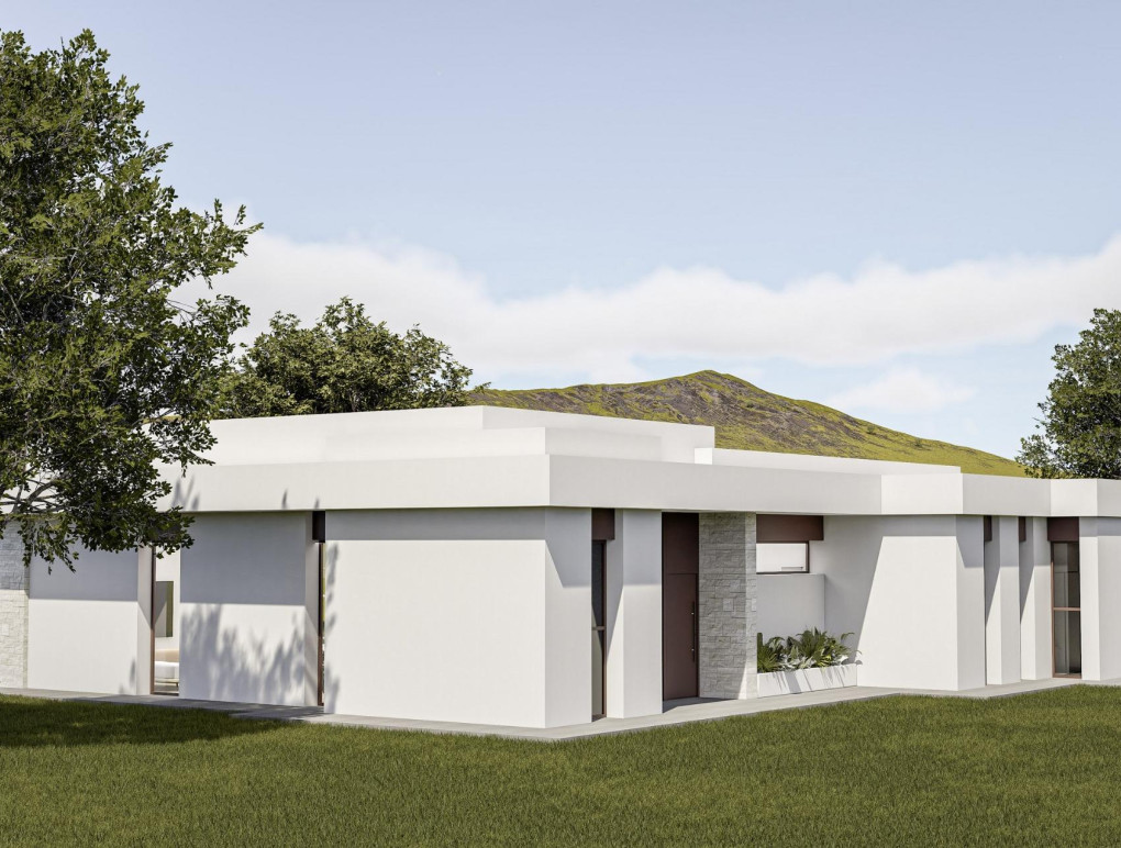 Nowa konstrukcja - Detached Villa - Pinoso - Lel