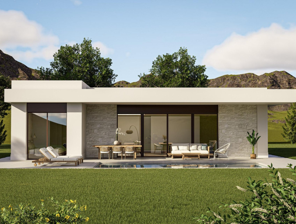 Nowa konstrukcja - Detached Villa - Pinoso - Lel