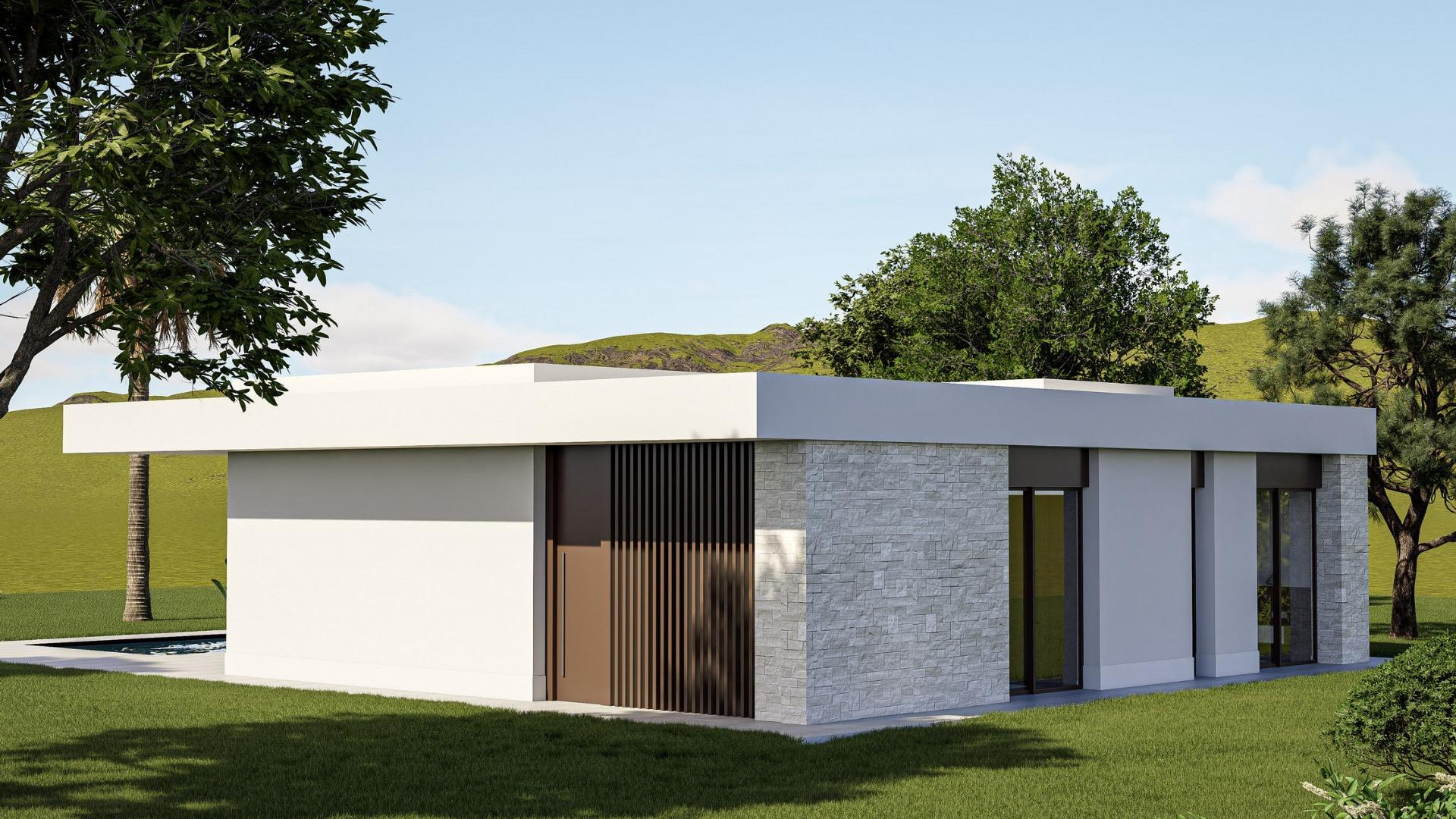 Nowa konstrukcja - Detached Villa - Pinoso - Lel