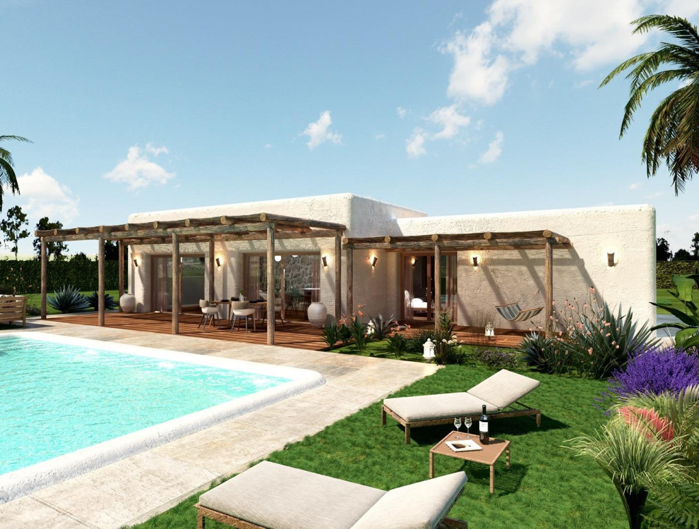 Nowa konstrukcja - Detached Villa - Pinoso - Rodriguillo