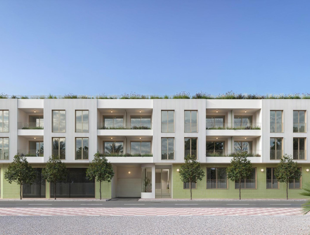 Obra Nueva - Apartment - Jacarilla - pueblo
