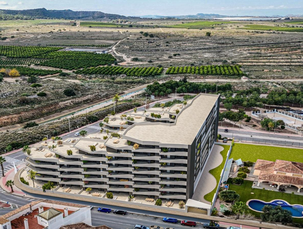 Obra Nueva - Apartment - San Miguel de Salinas - Pueblo