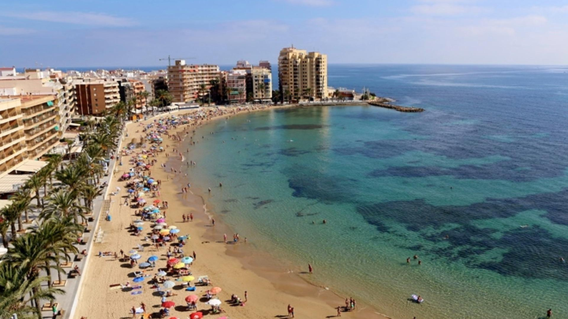 Obra Nueva - Apartment - Torrevieja - Playa de El Cura