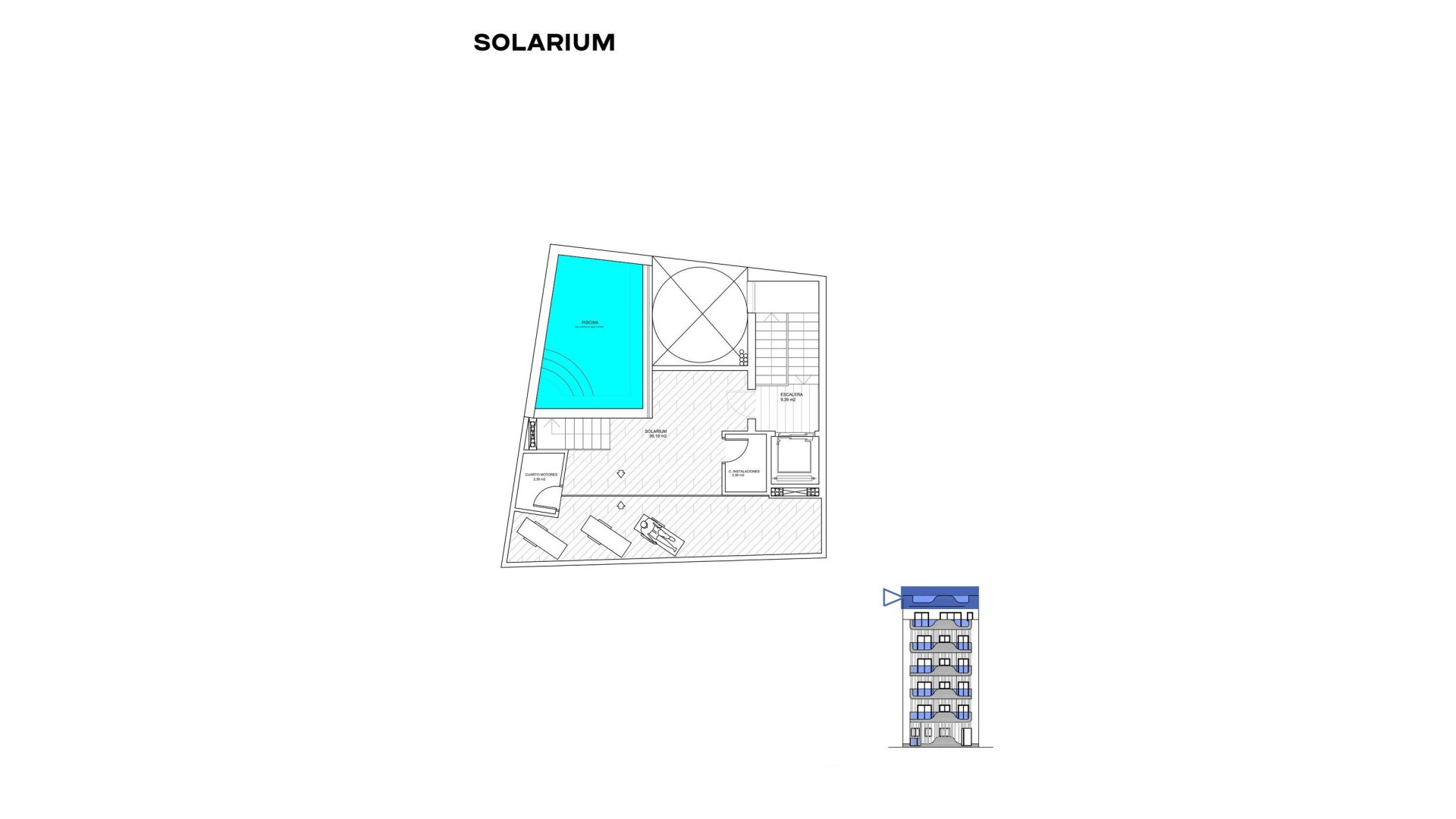 Obra Nueva - Apartment - Torrevieja - Playa de los locos