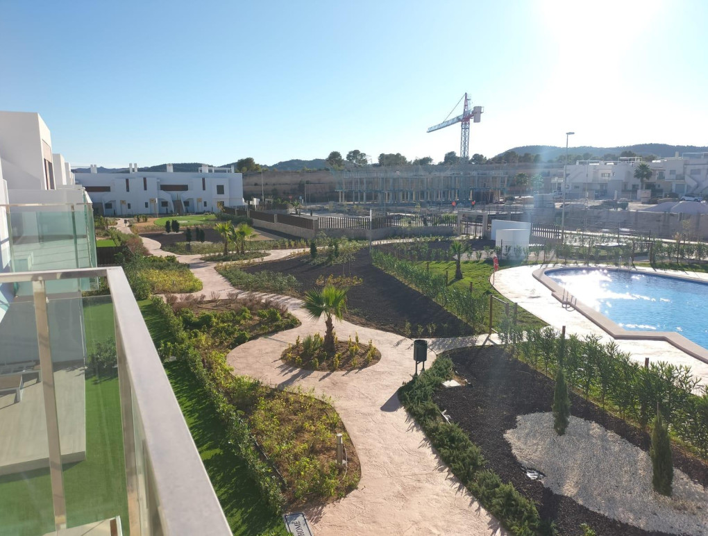 Obra Nueva - Casa adosada - Orihuela - Vistabella Golf