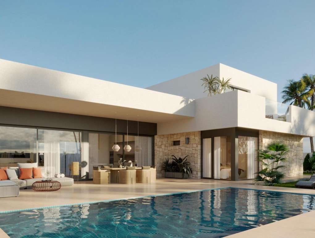 Obra Nueva - Detached Villa - Aspe - Poligono 19