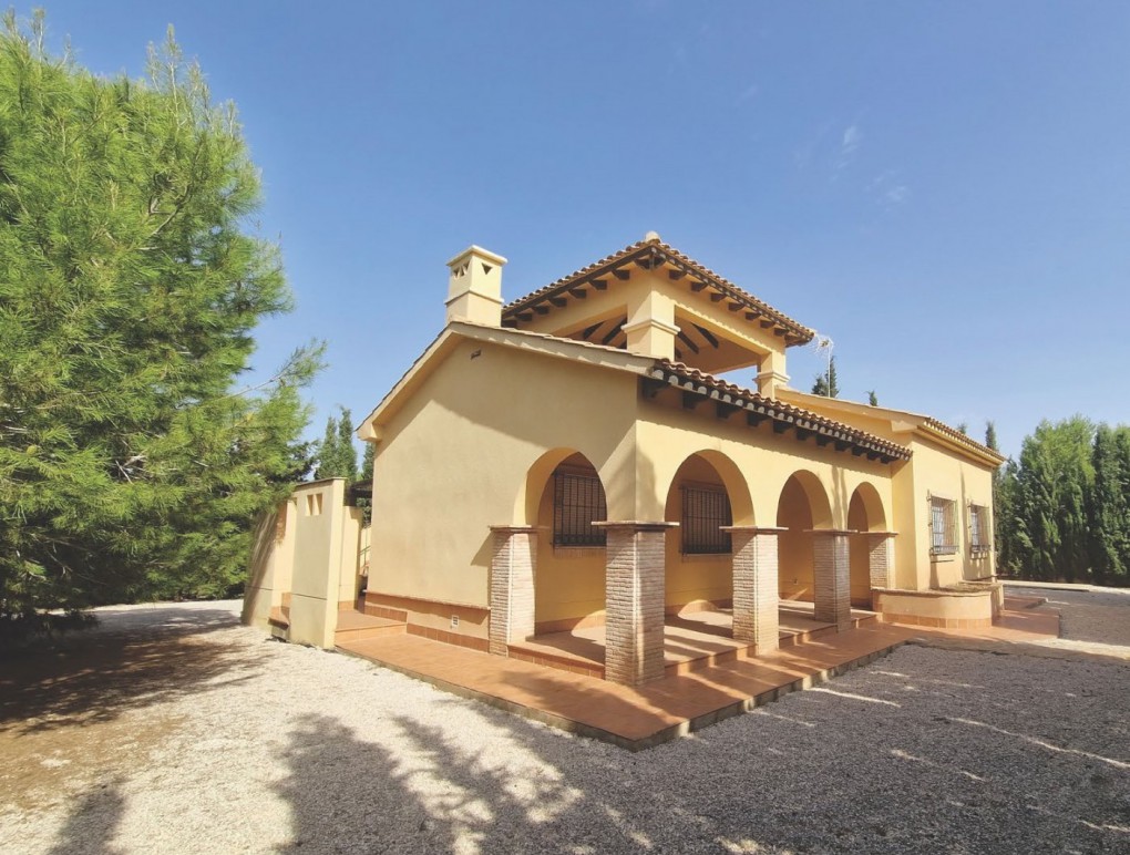 Obra Nueva - Detached Villa - Fuente Alamo de Murcia - Las Palas