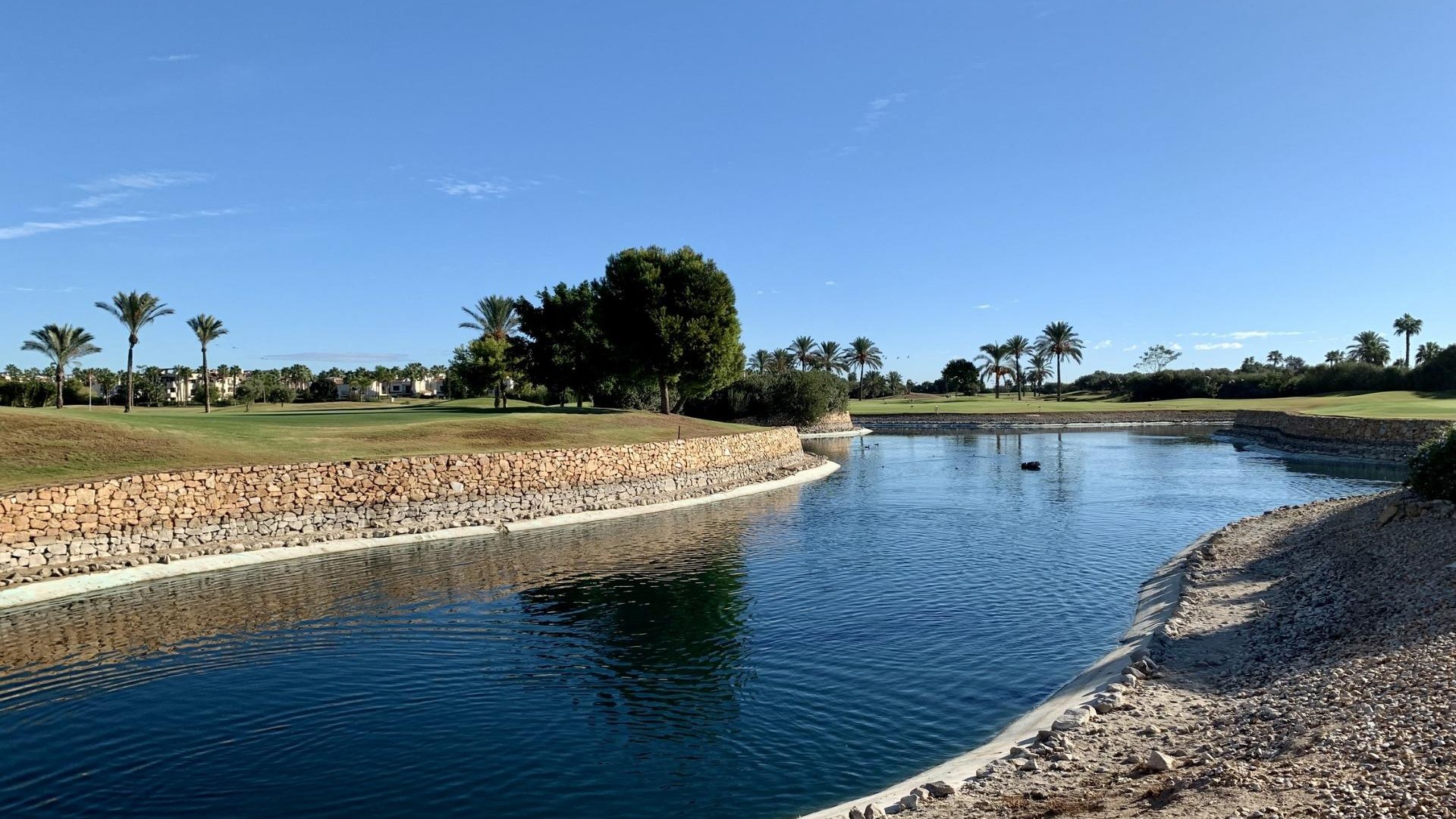 Obra Nueva - Detached Villa - San Javier - Roda Golf