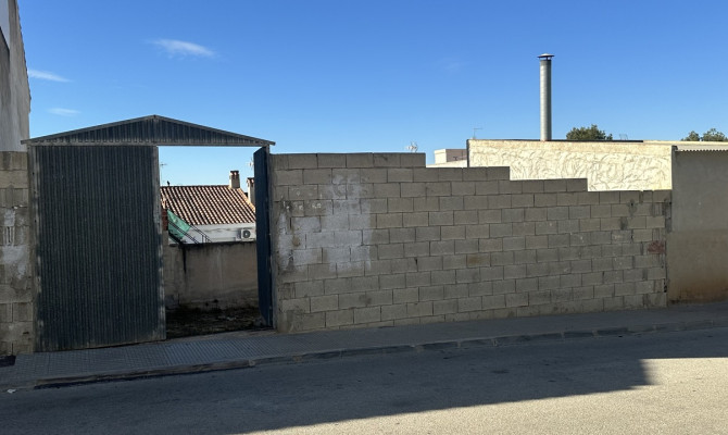 Perceel / Land - Revente - Benijófar - CMO-32021