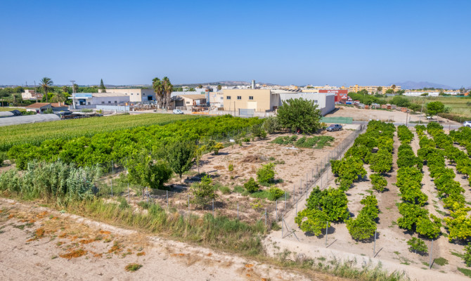 Perceel / Land - Revente - Formentera del Segura - Formentera de Segura