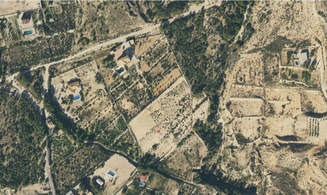 Plot / Land - Resale - Crevillente - Crevillente