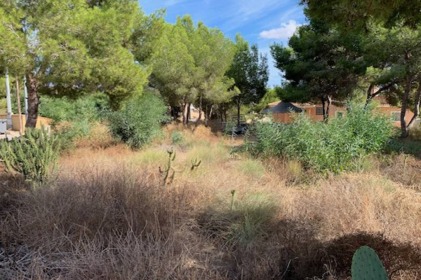 Plot of Land - Revente - Algorfa - Algorfa