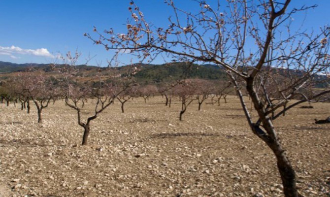 Plot of Land - Revente - Murcia - Murcia