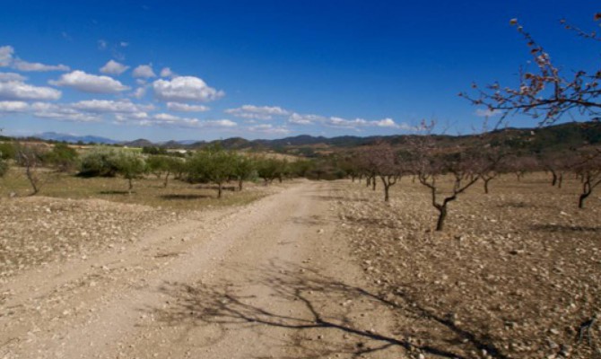 Plot of Land - Sale - Murcia - Murcia