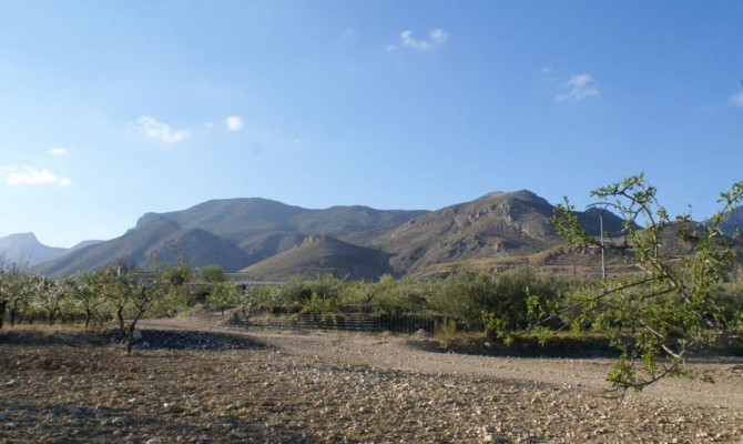 Plot of Land - Sprzedaż - Murcia - Murcia