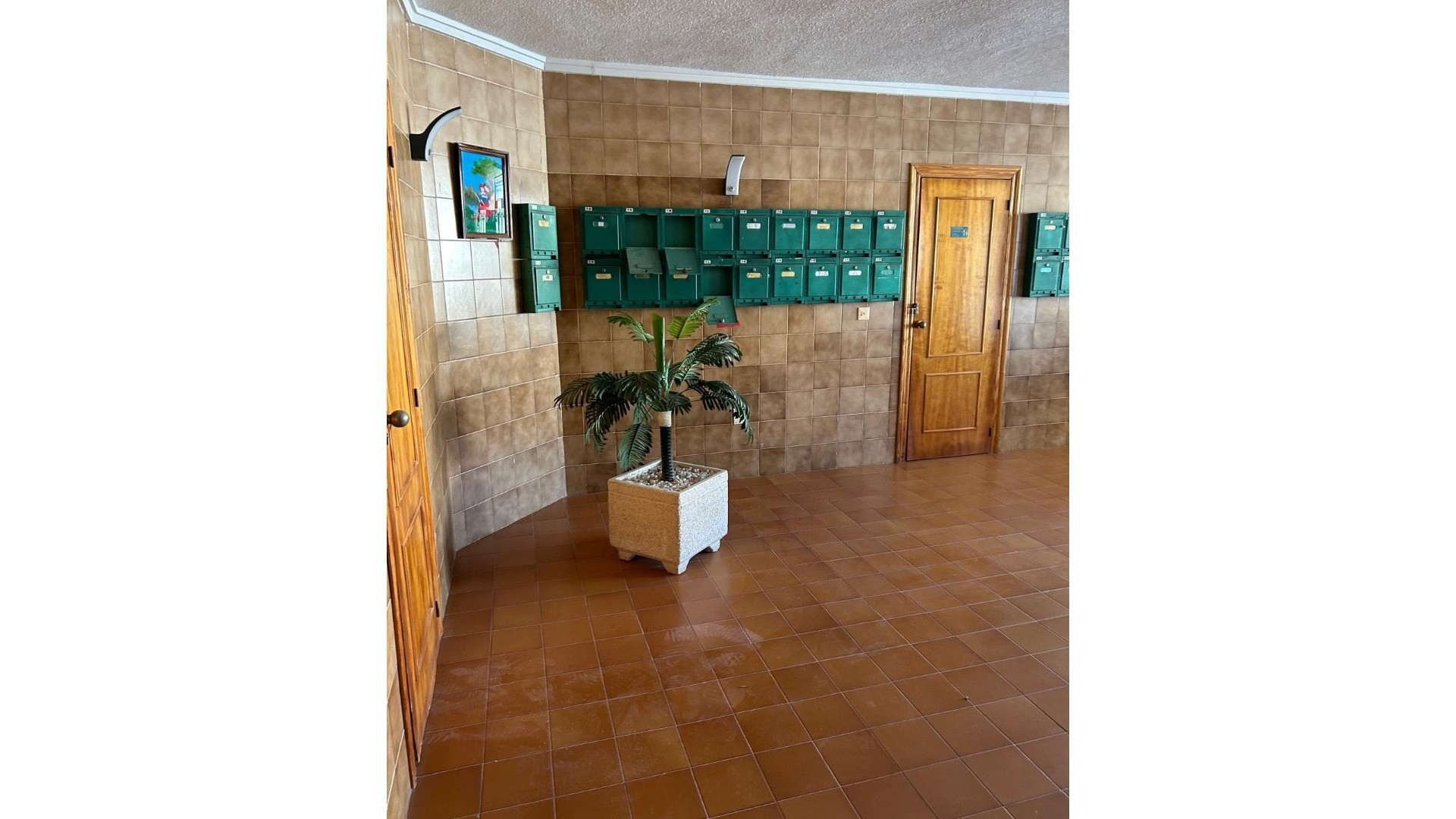 Resale - Apartment - Cabo Roig