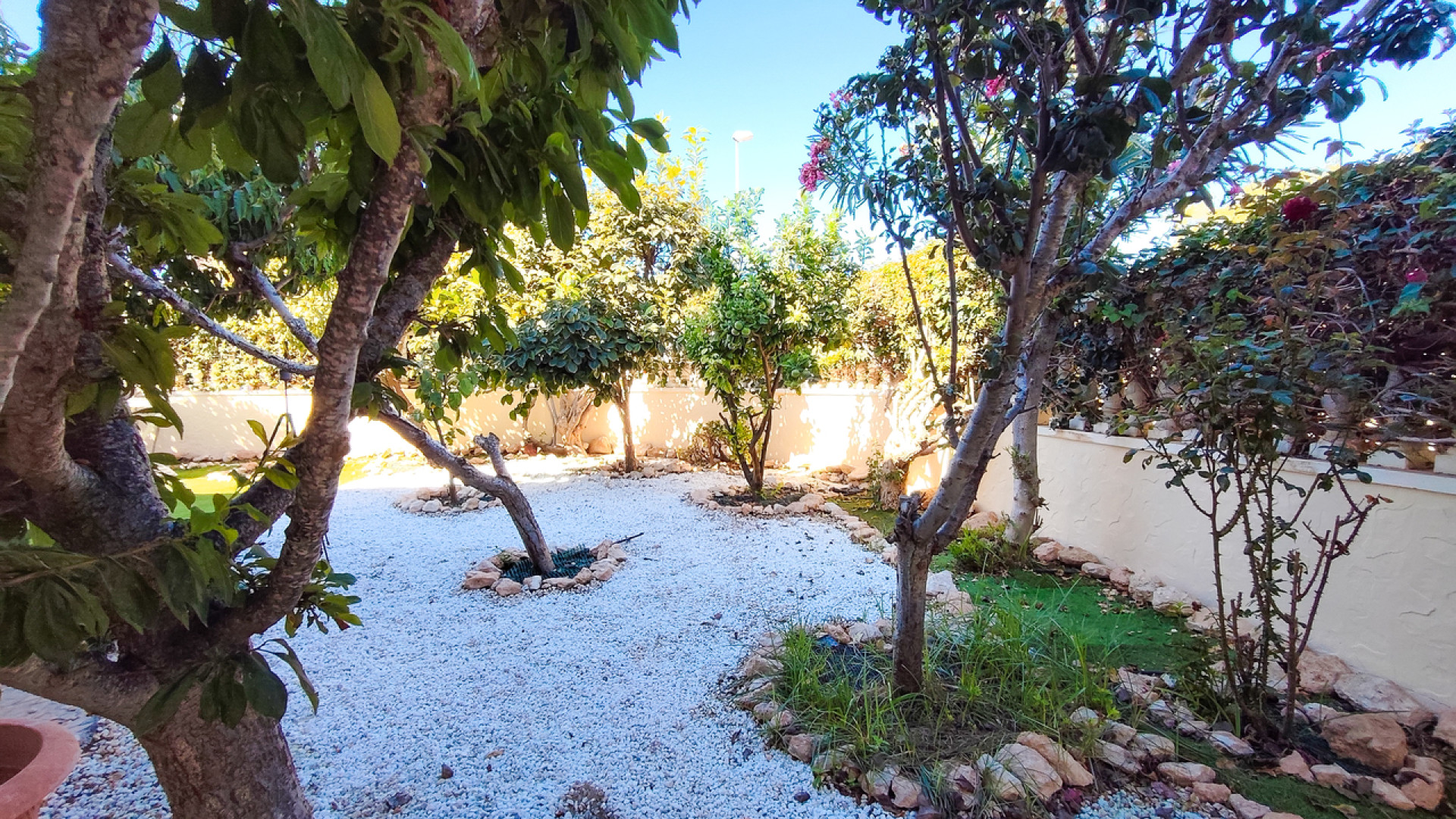 Resale - Apartment - Cabo Roig
