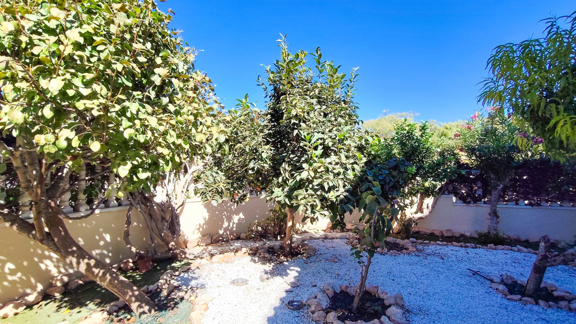 Resale - Apartment - Cabo Roig
