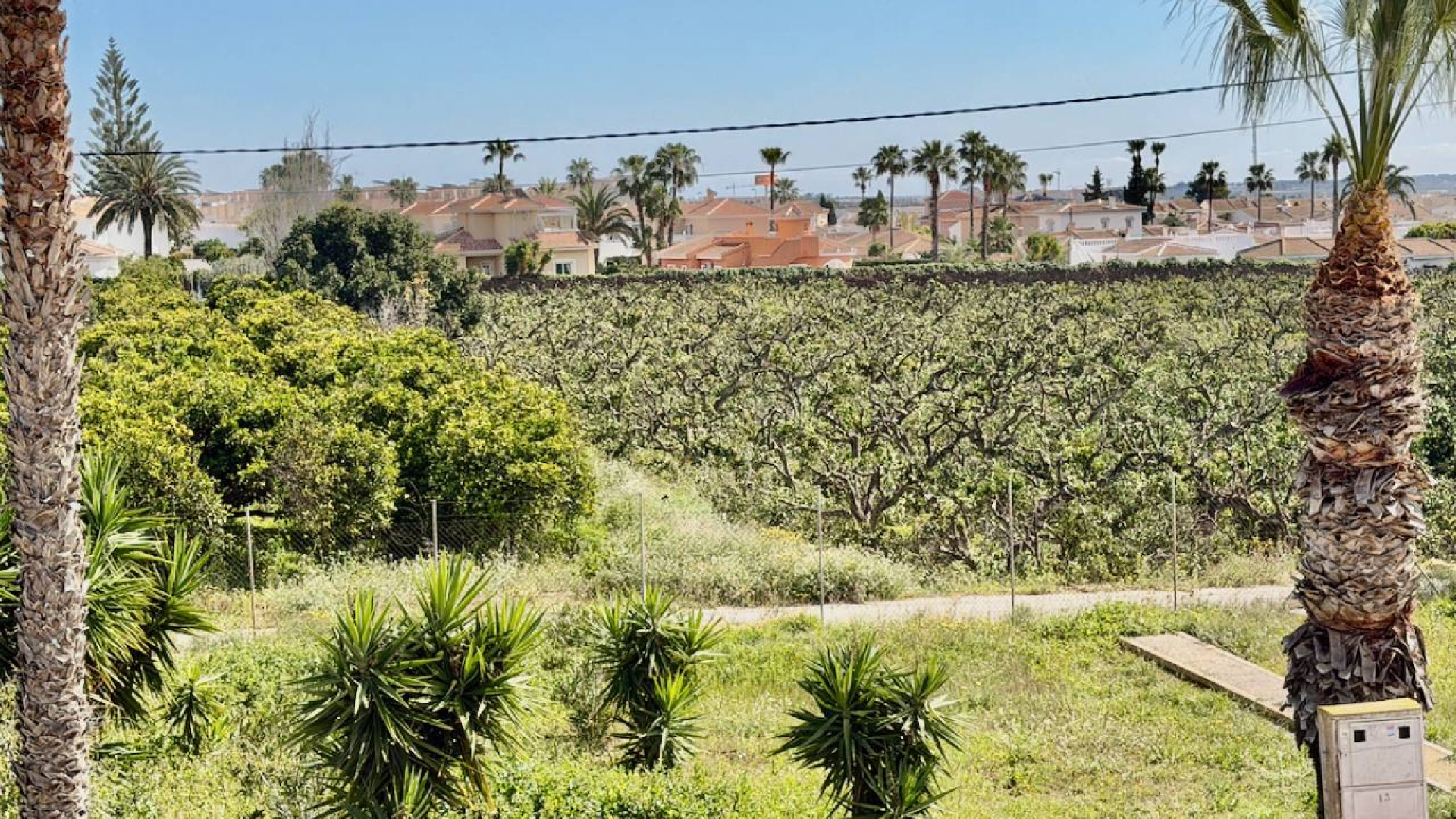 Resale - Apartment - Ciudad Quesada - Ciudad Quesada - Doña Pepa