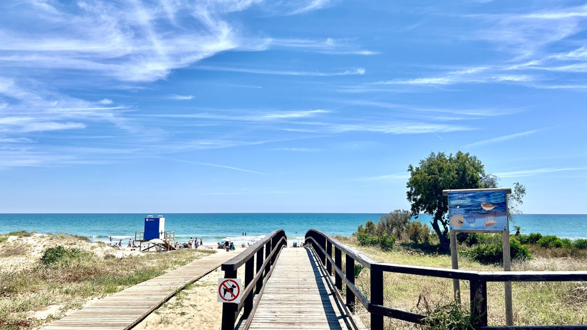 Resale - Apartment - La Mata