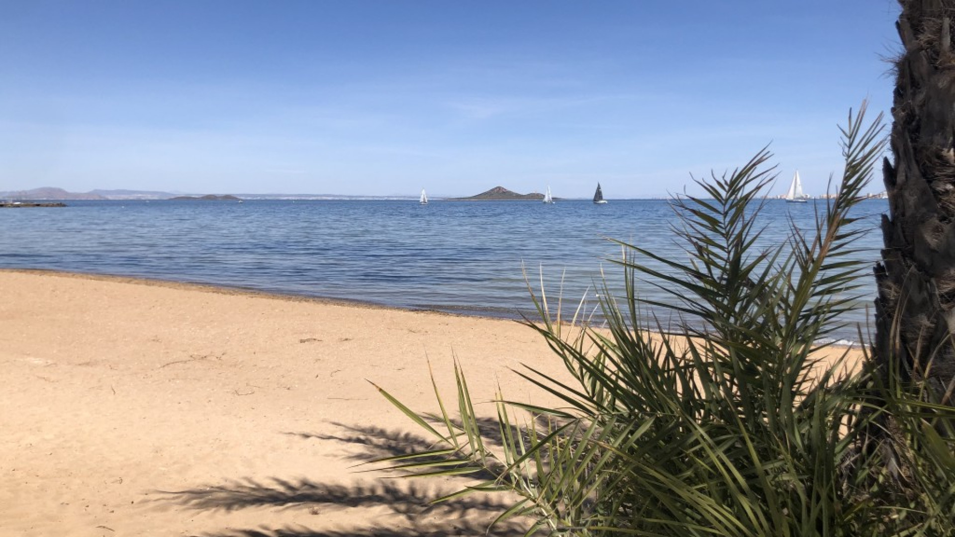 Resale - Apartment - Mar de Cristal