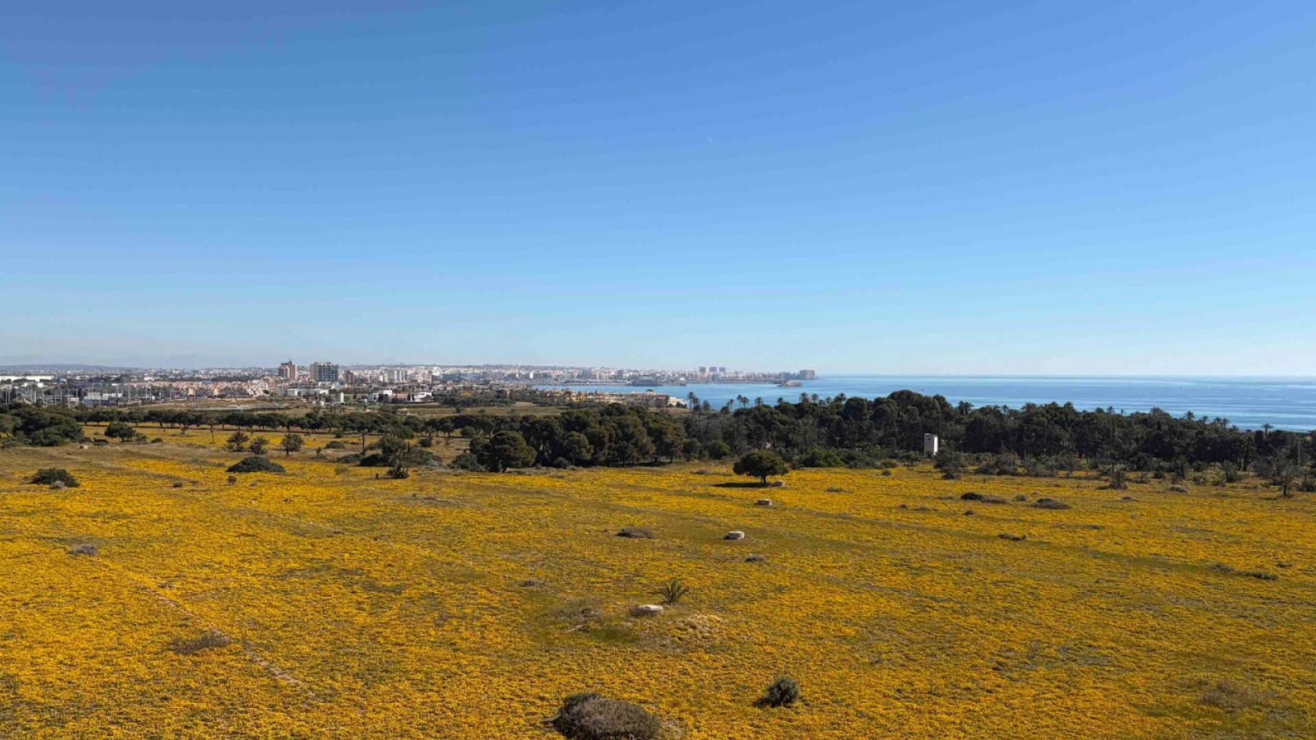 Resale - Apartment - Orihuela Costa - Punta Prima