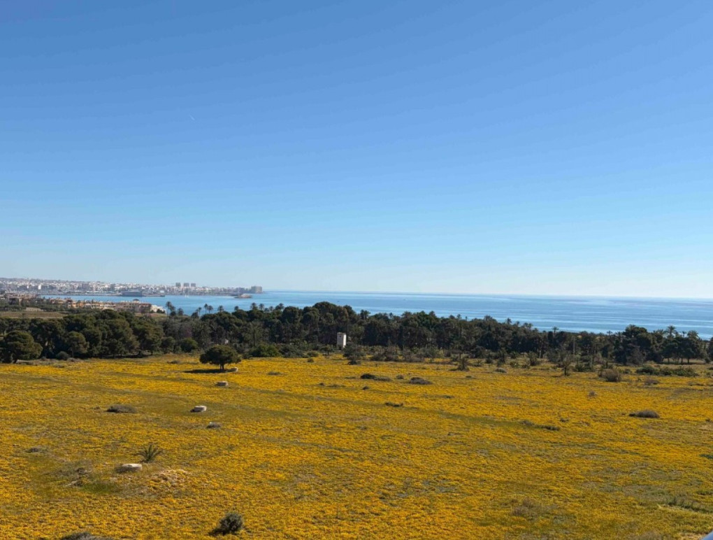 Resale - Apartment - Orihuela Costa - Punta Prima