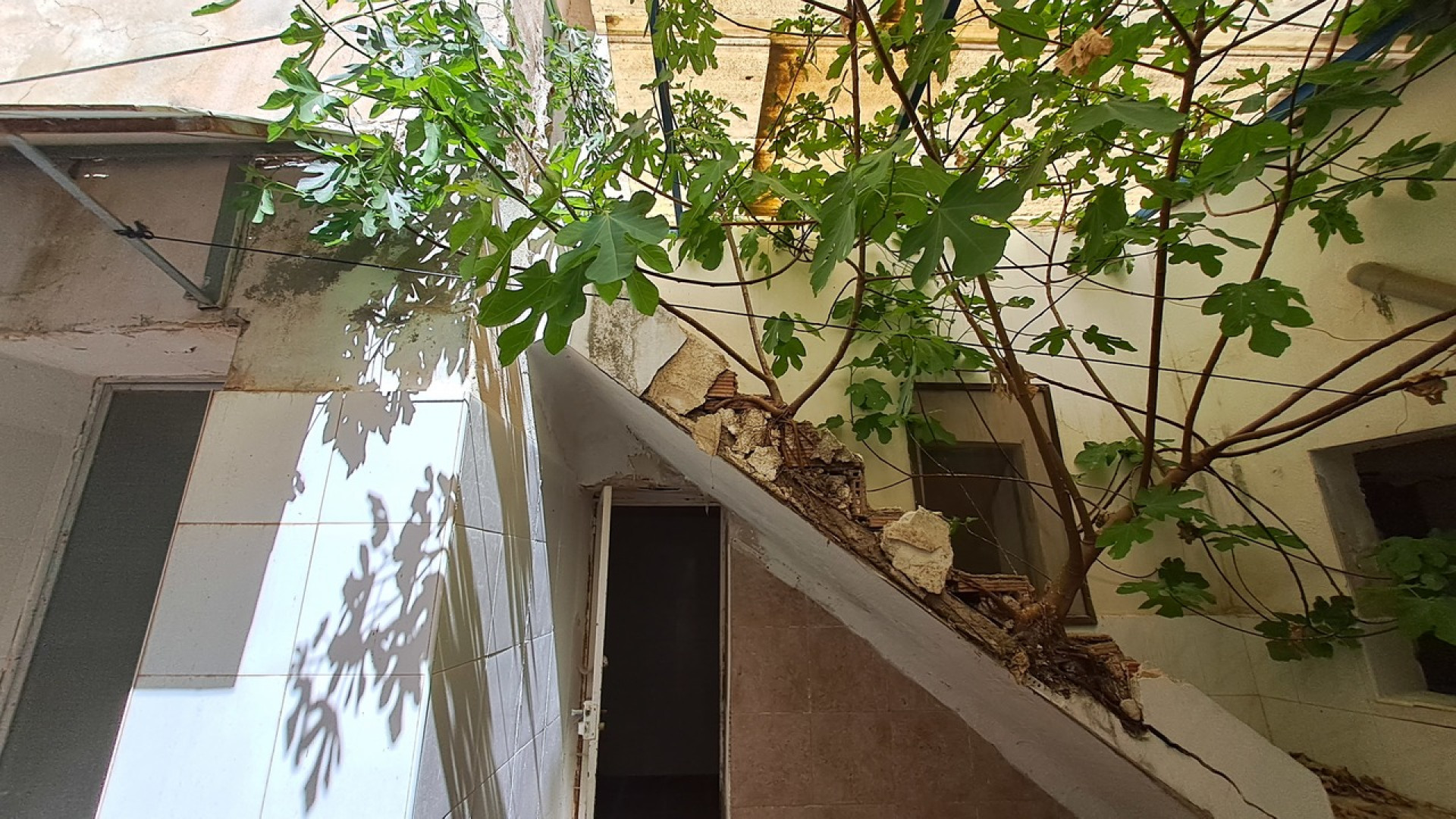 Resale - Commercial - Orihuela