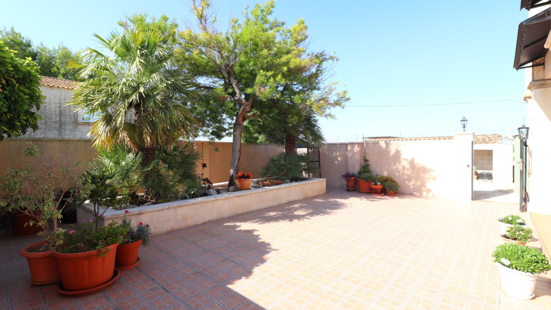 Resale - Country Property - Albatera - Albatera - Country