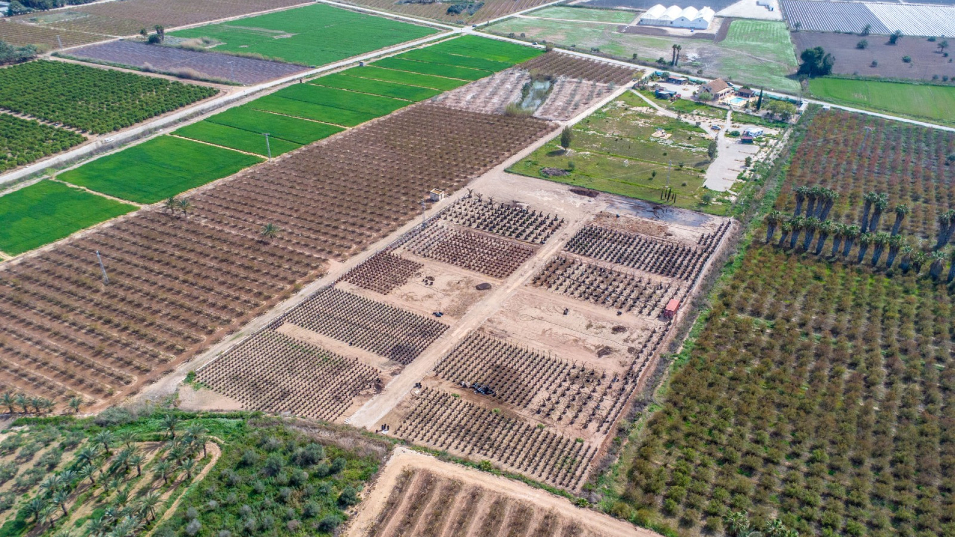 Resale - Country Property - Crevillente