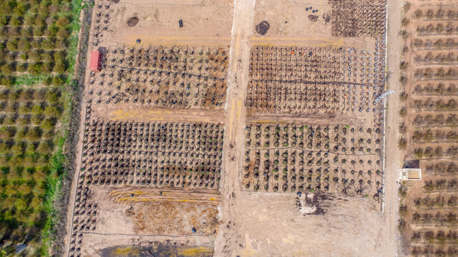 Resale - Country Property - Crevillente