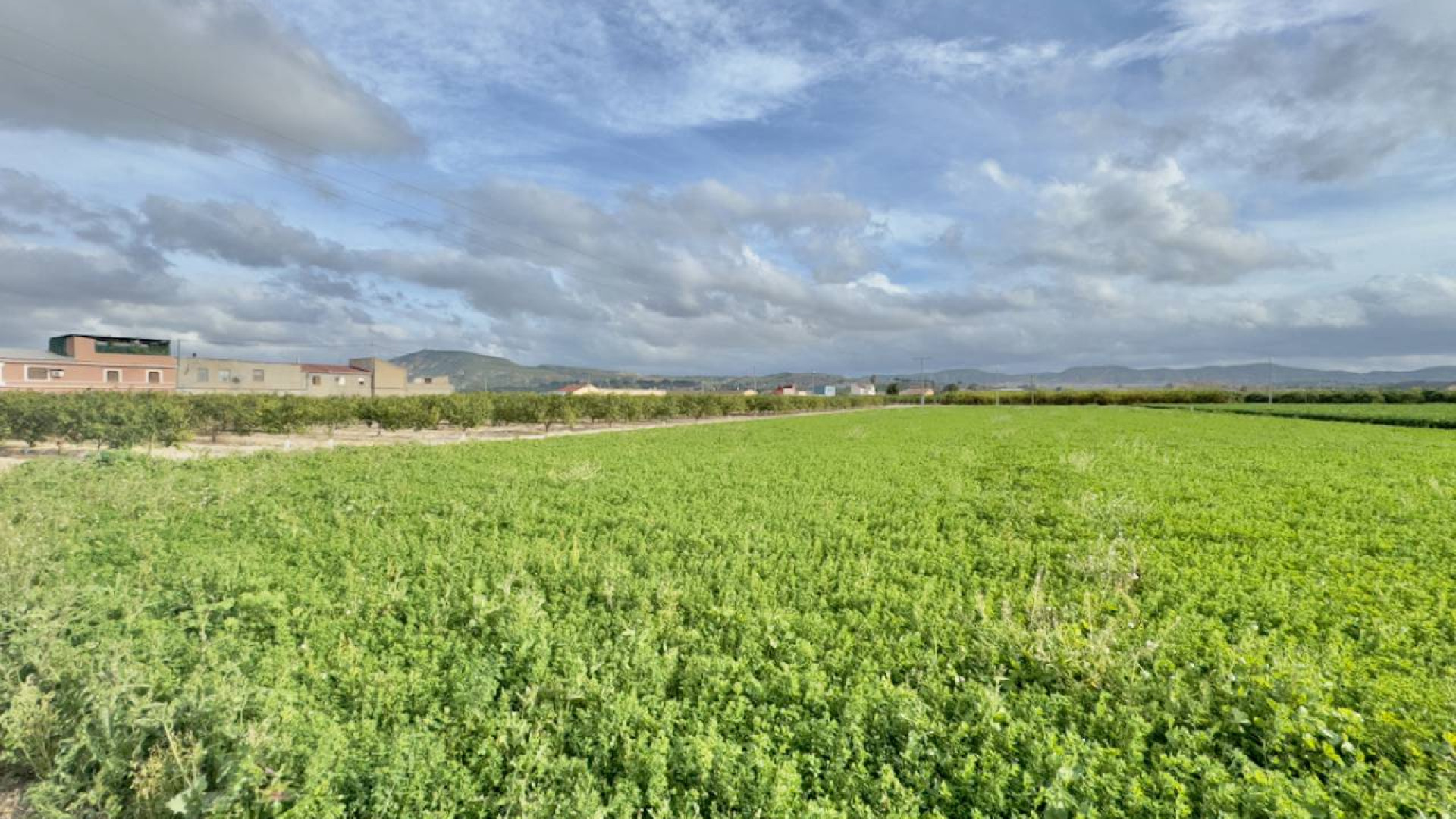Resale - Country Property - Orihuela
