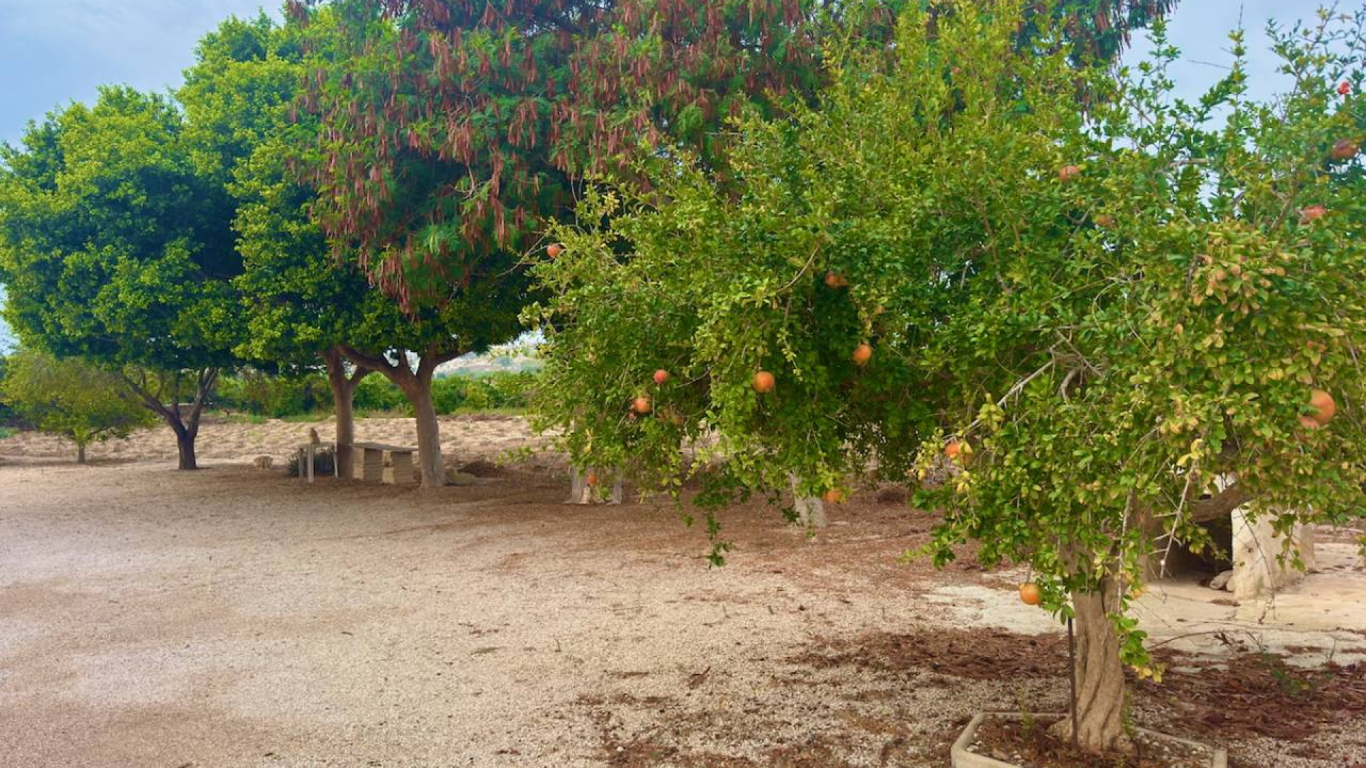 Resale - Country Property - Rojales - Cuidad Quesada