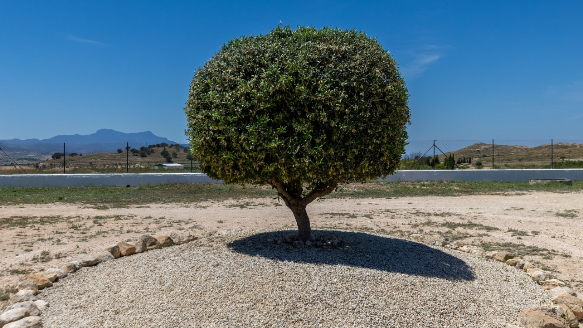 Resale - Country Property - Torre Del Rico