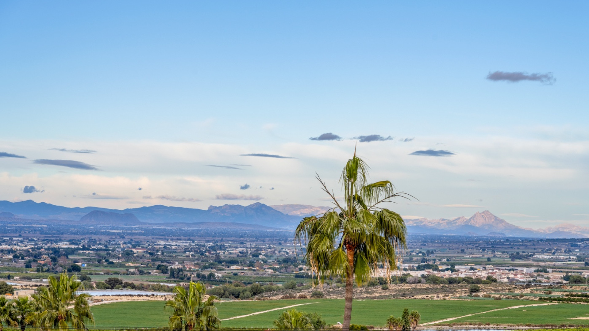 Resale - Detached Villa - Algorfa - Lomas De La Juliana