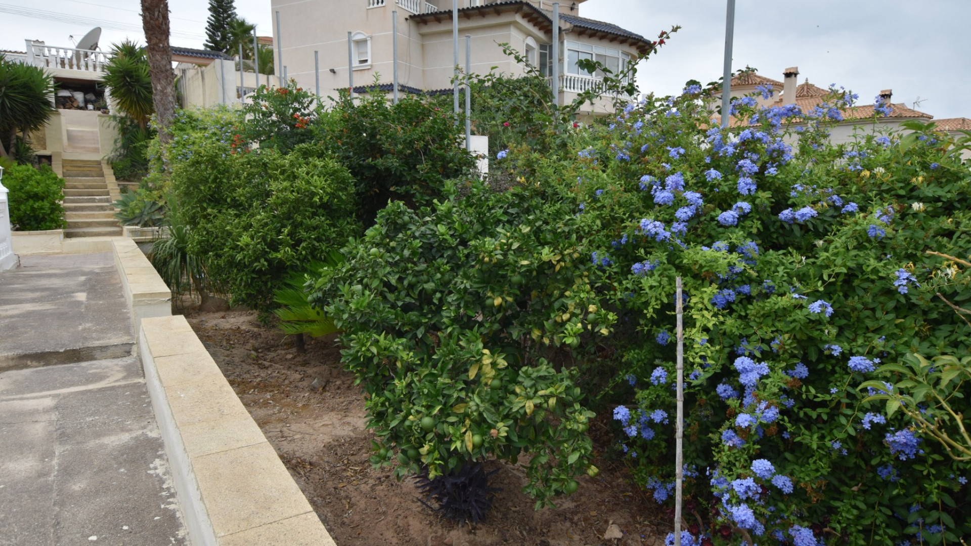 Resale - Detached Villa - Algorfa - Montemar