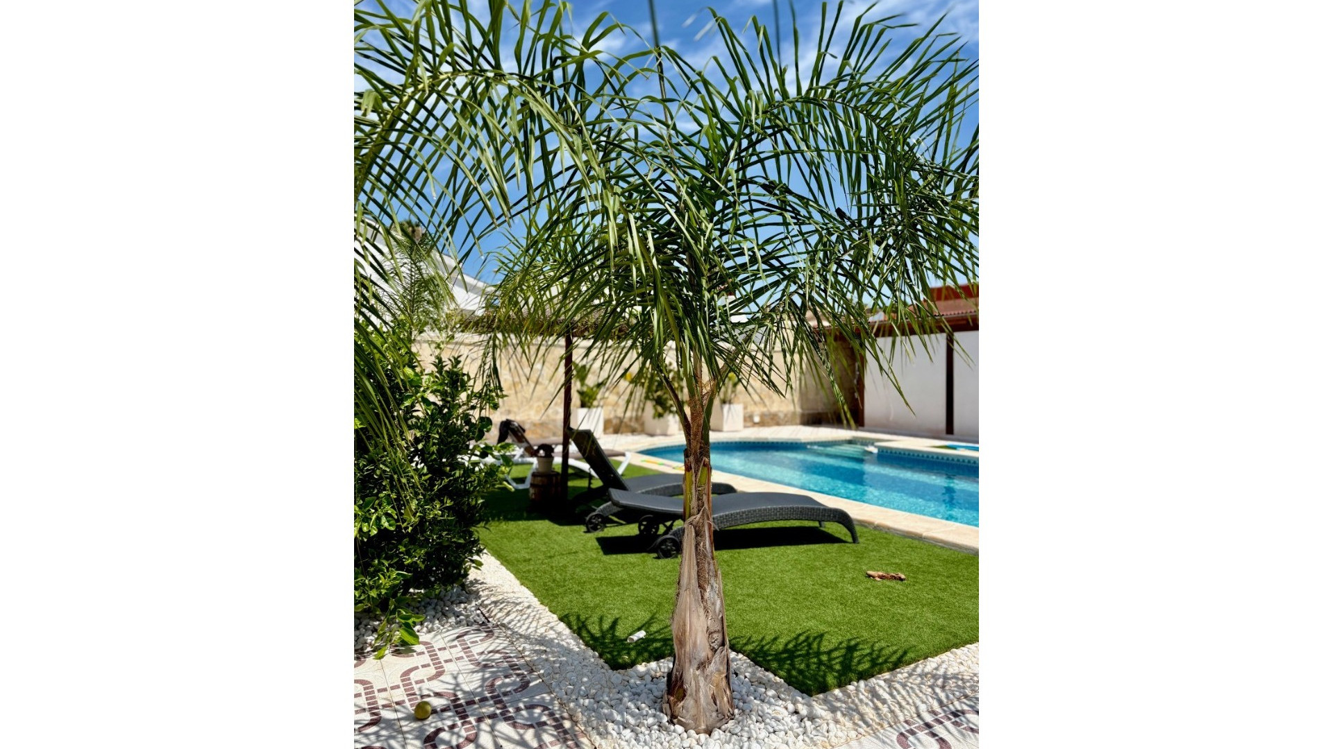 Resale - Detached Villa - Ciudad Quesada - Quesada Center