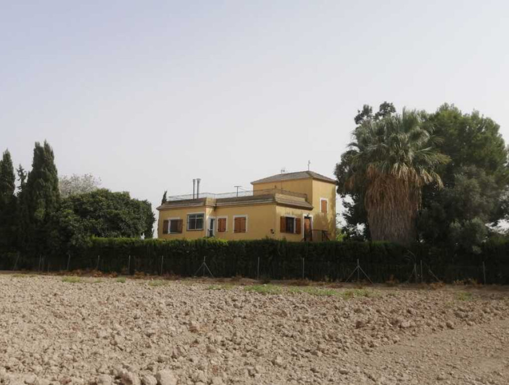 Resale - Detached Villa - Daya Nueva