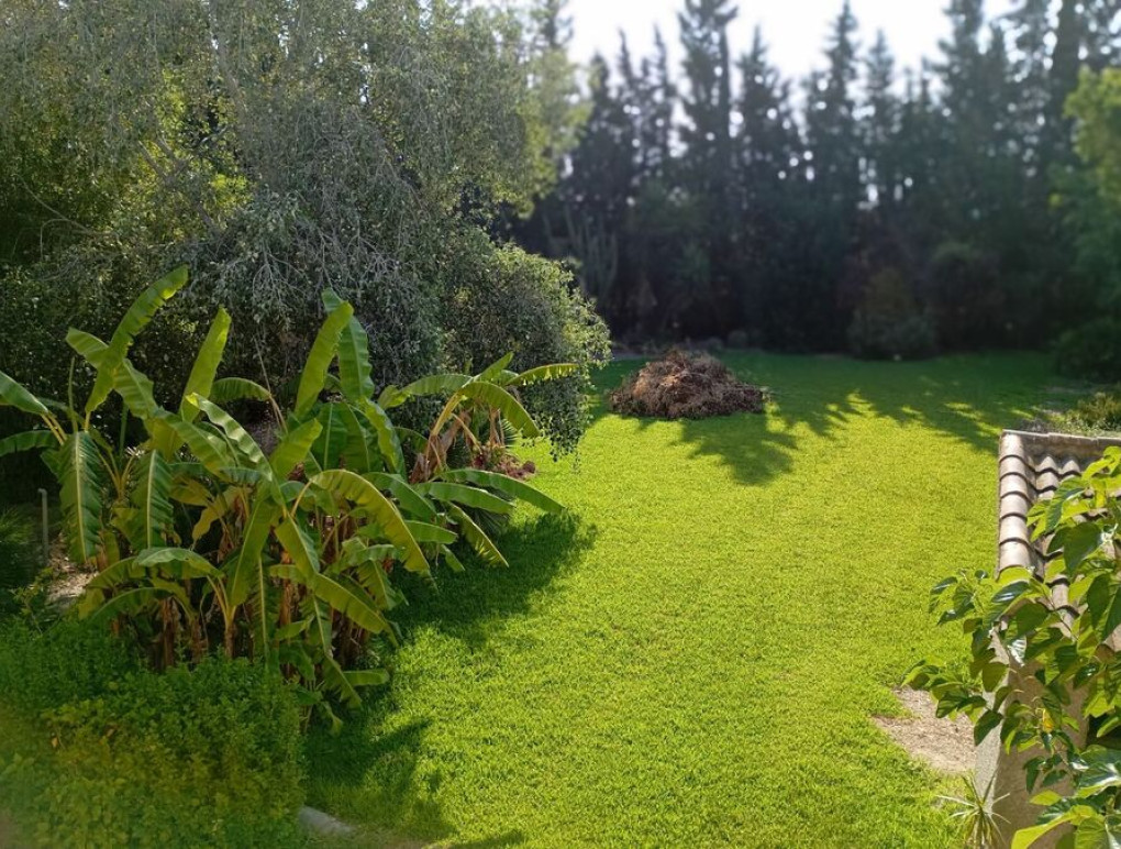 Resale - Detached Villa - Daya Nueva