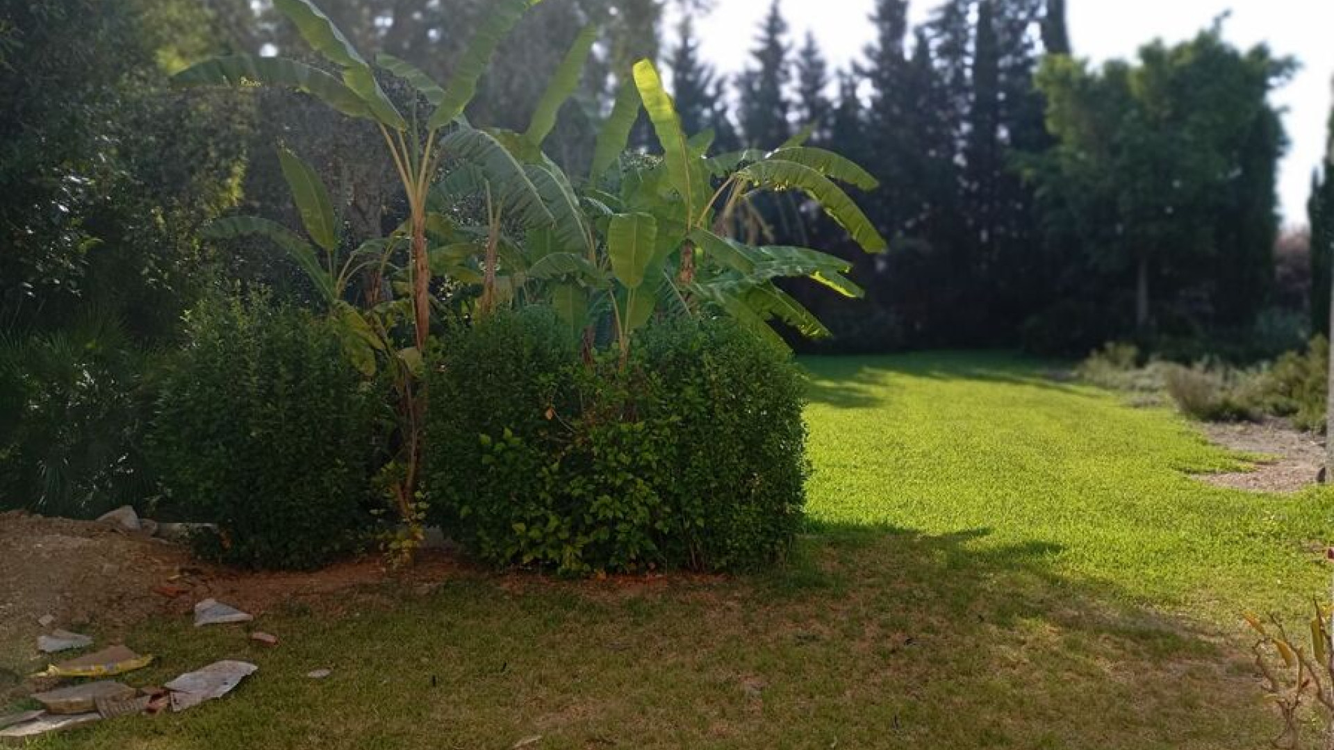 Resale - Detached Villa - Daya Nueva