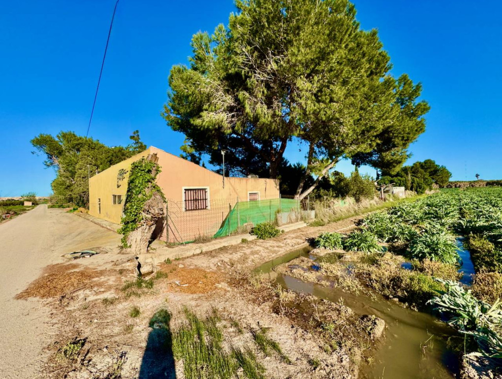 Resale - Detached Villa - Guardamar del Segura